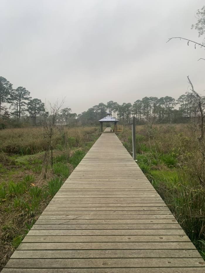 Long wooden pier running through marsh grass to a covered sitting area